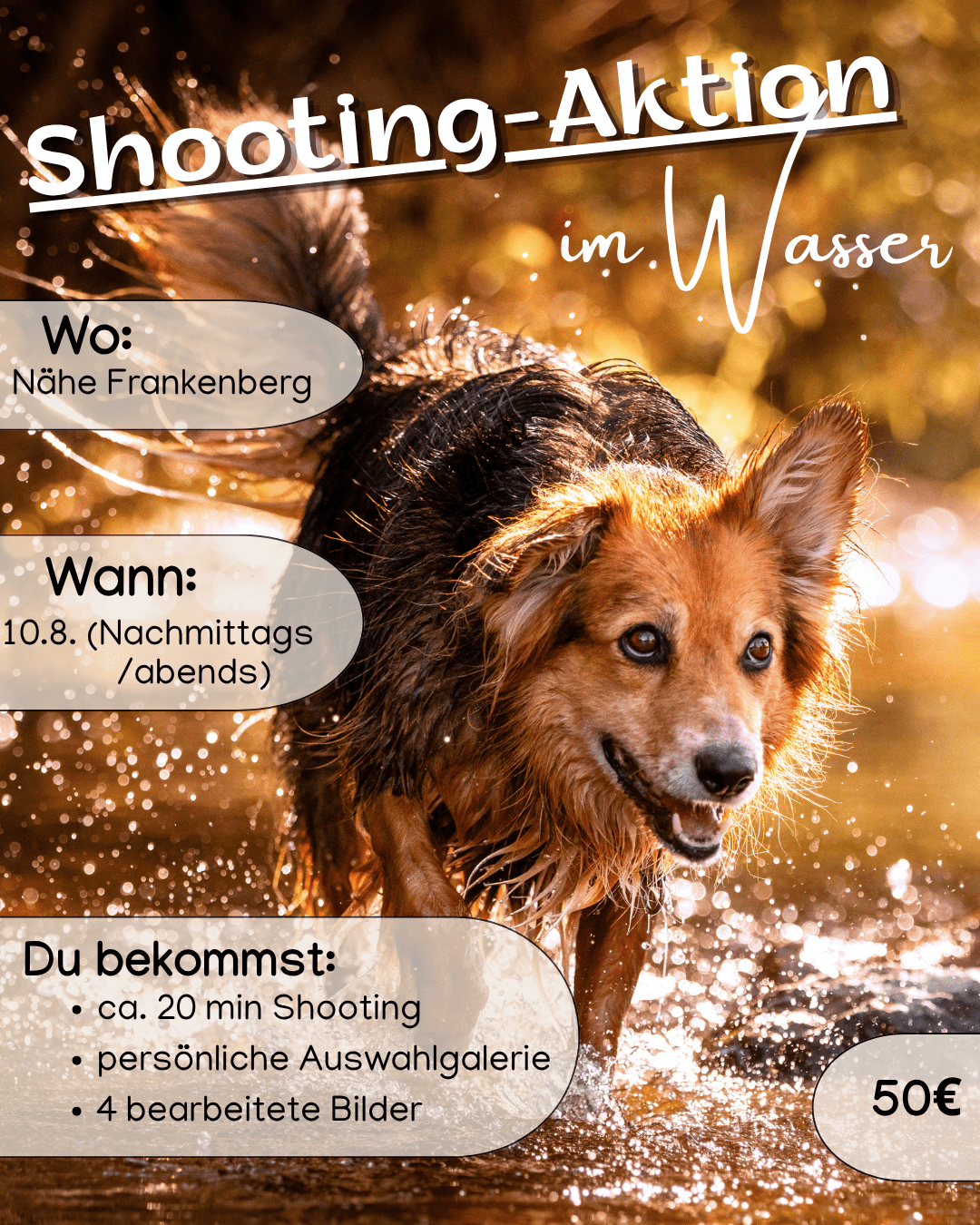 Shooting-Aktion