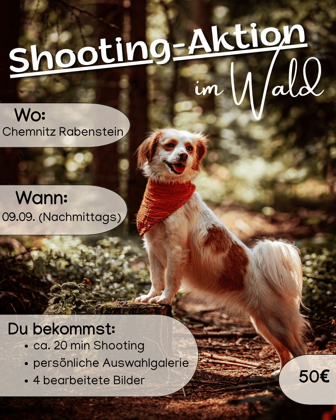 Shooting-Aktion(3)
