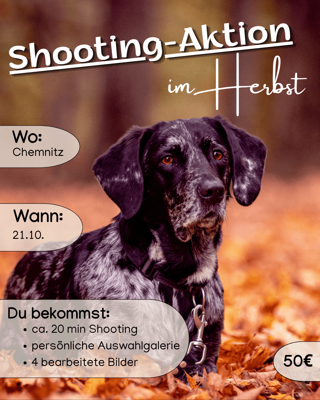 Shooting-Aktion(4)