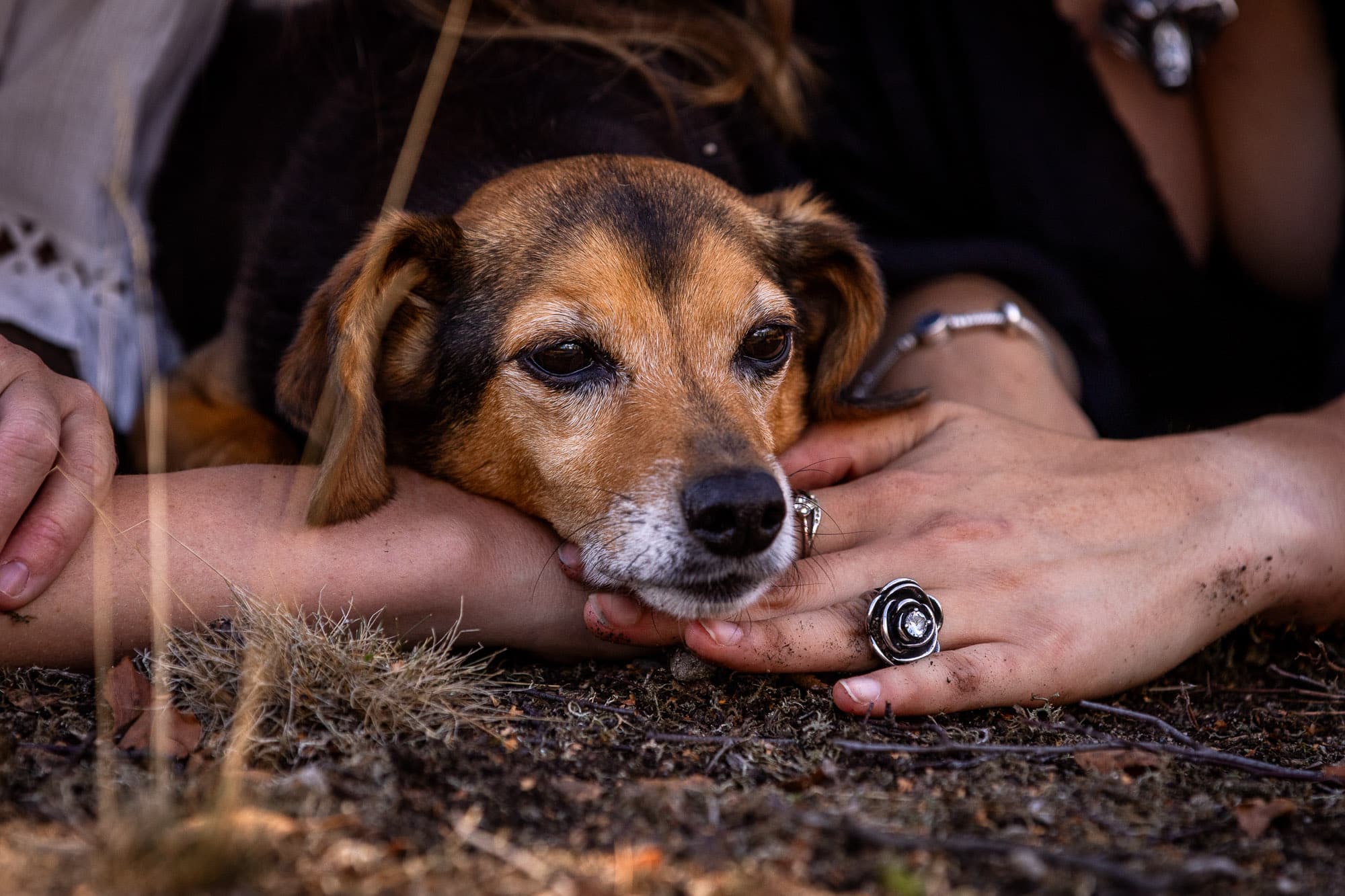 Tierfotografie Sachsen-03