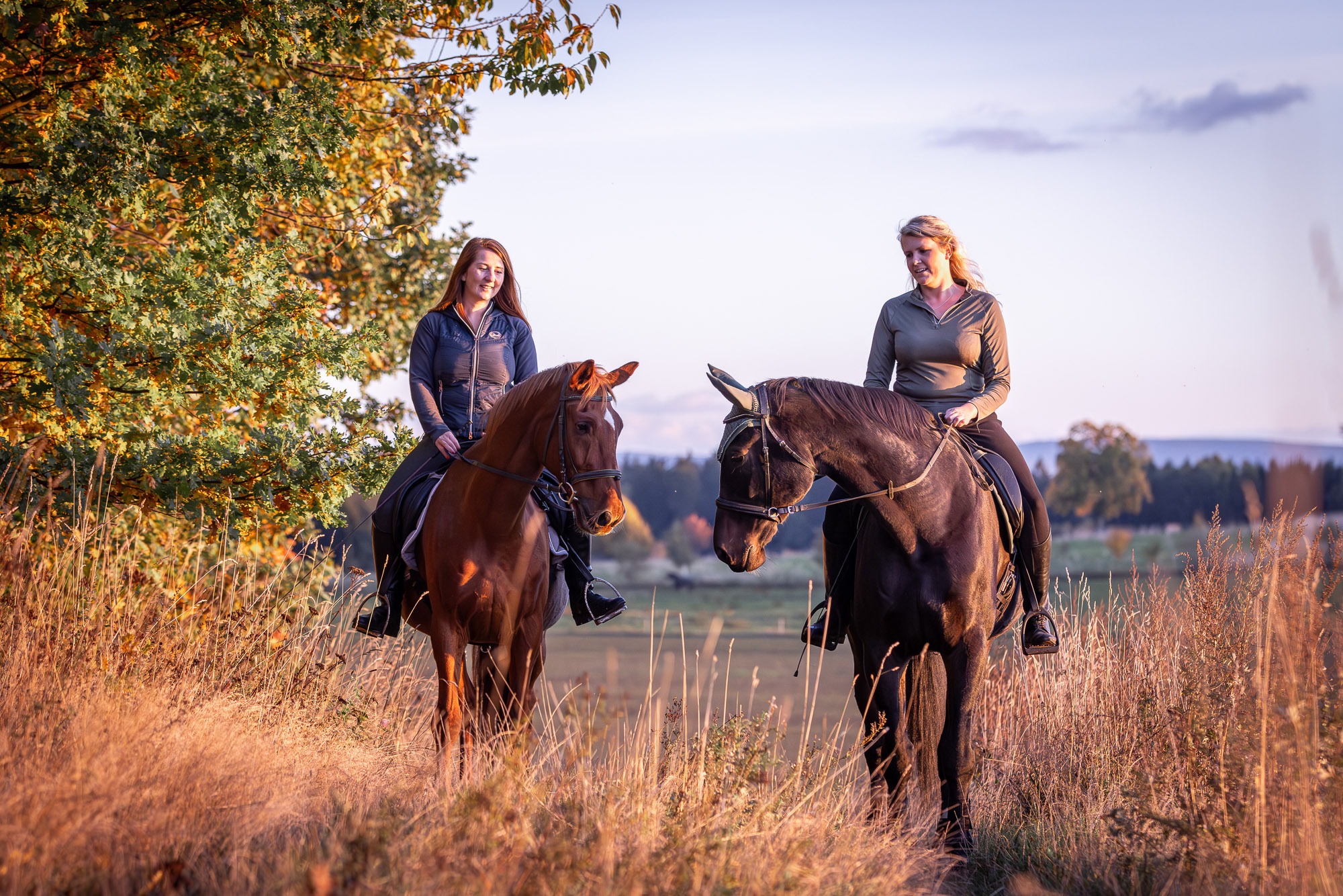Tierfotografie Sachsen-15